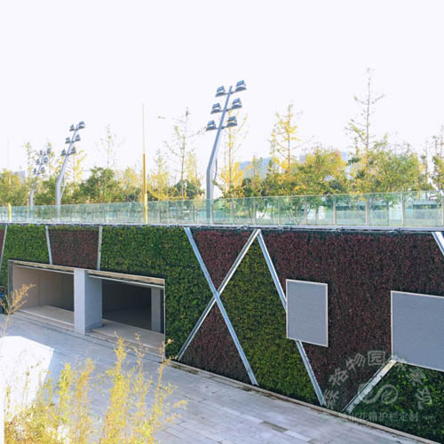 下沉廣場垂直綠化墻體