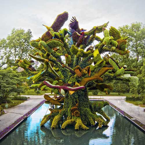 飛鳥(niǎo)綠雕景觀立體花壇