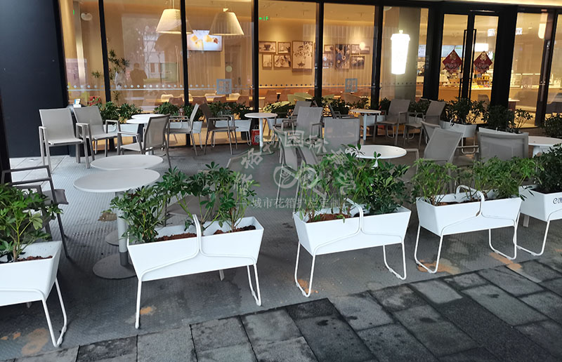 廣東花箱案例：嘉興商業(yè)街花箱花架隔斷案例