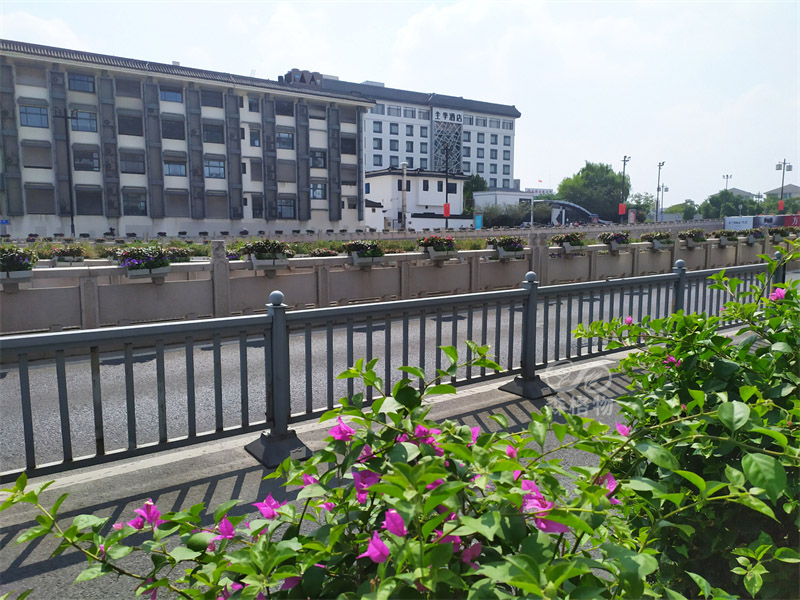 常見的綠化施工技術方案