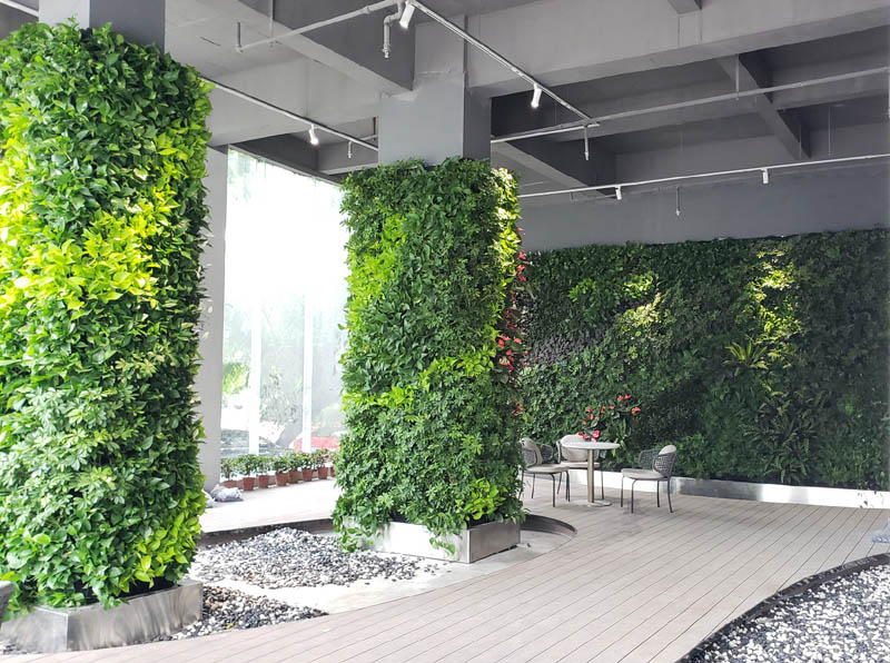 室外垂直綠化一般應該選擇哪些植物品類？