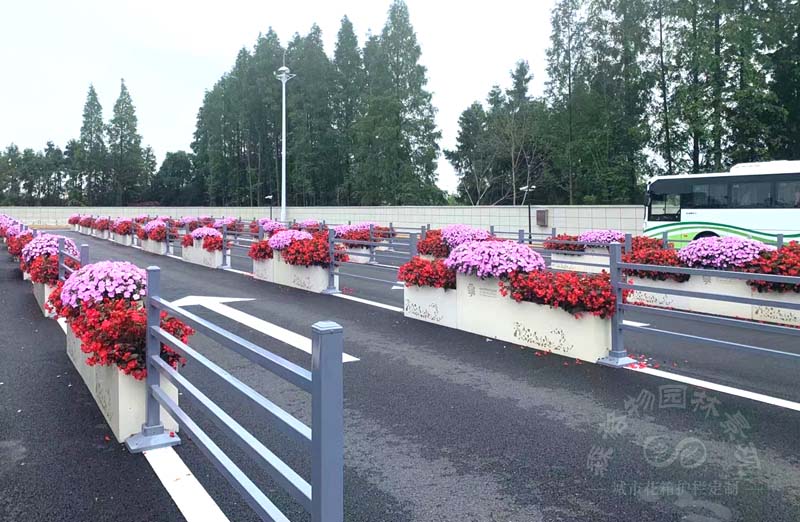 城市道路美妝師--森格物花箱護欄