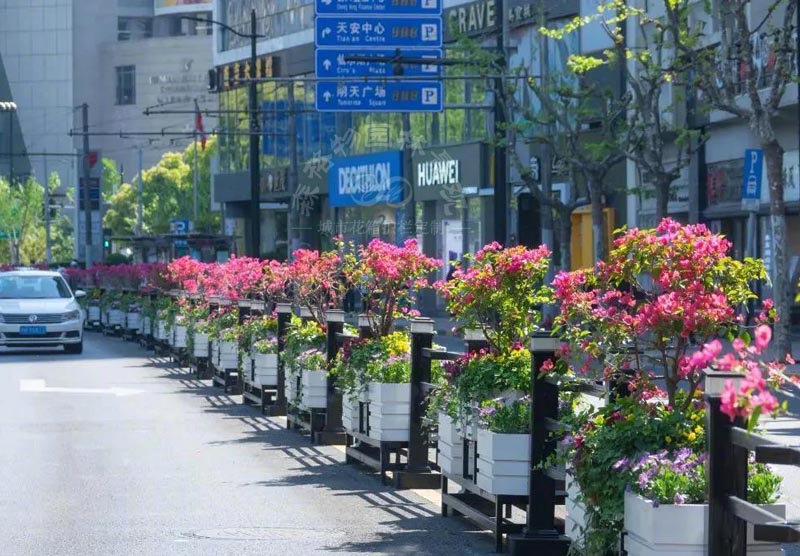 購買pvc花箱該如何選擇浙江花箱廠家？