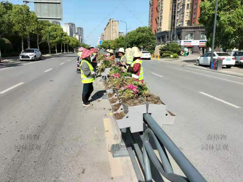 浙江嘉興三公里馬鞍護欄花箱