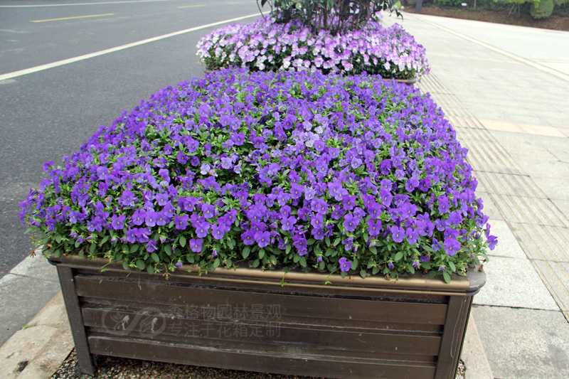 浙江嘉興機非道路隔離花箱案例
