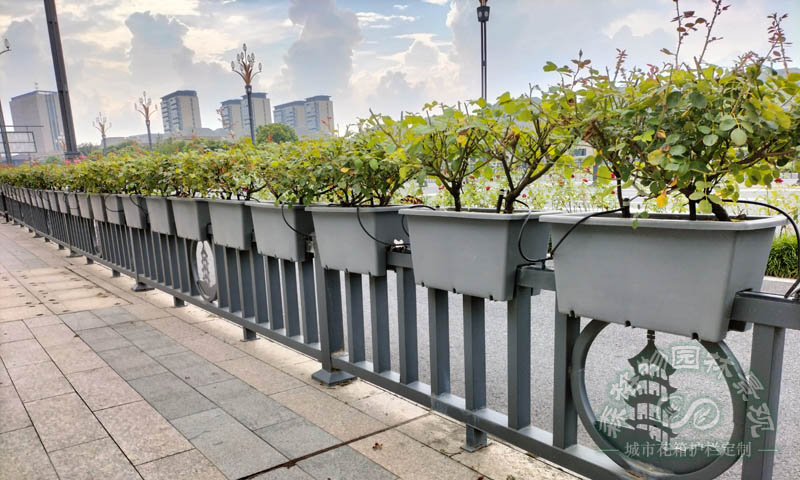 自動化智慧滴灌花箱