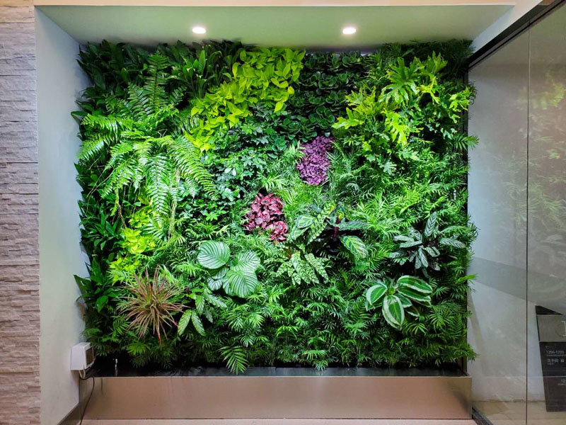 垂直綠化成為新時尚：家庭植物墻