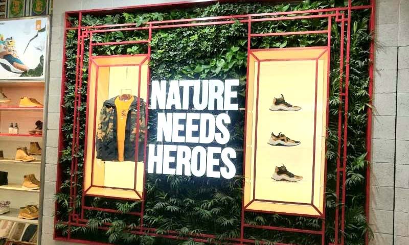 室內植物墻養護原則和方法