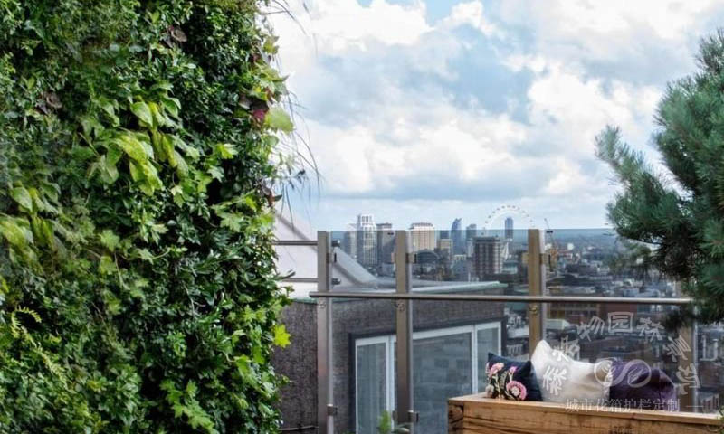 屋頂綠化算綠化率嗎？