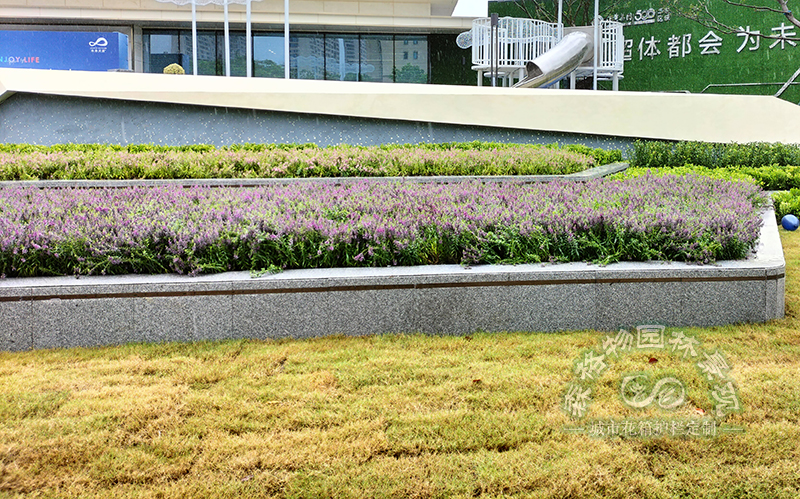 園林植物巧搭配，綠地美景四季存