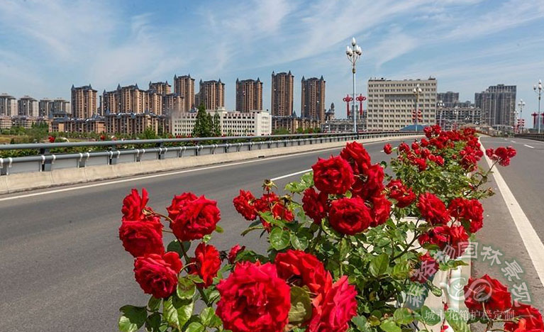 橋梁花箱的裝飾作用表現(xiàn)在哪些方面