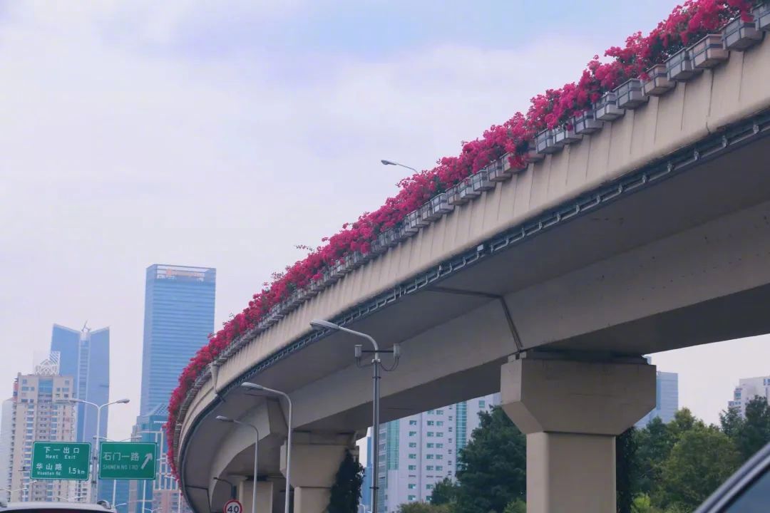 高架綠化應該怎樣做！