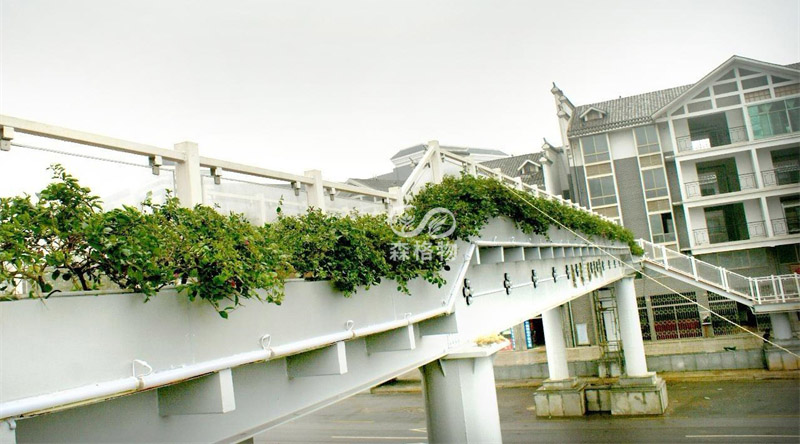 橋梁護欄花箱的基本規格和特點介紹 橋梁護欄花箱的基本規格和特點介紹