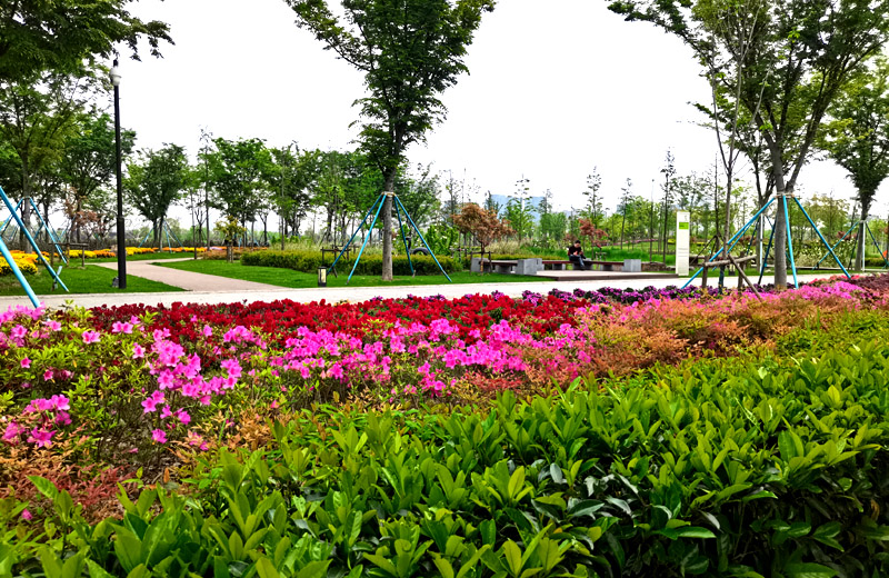 森格物園林草坪養(yǎng)護(hù)工作月歷 森格物園林草坪養(yǎng)護(hù)工作月歷