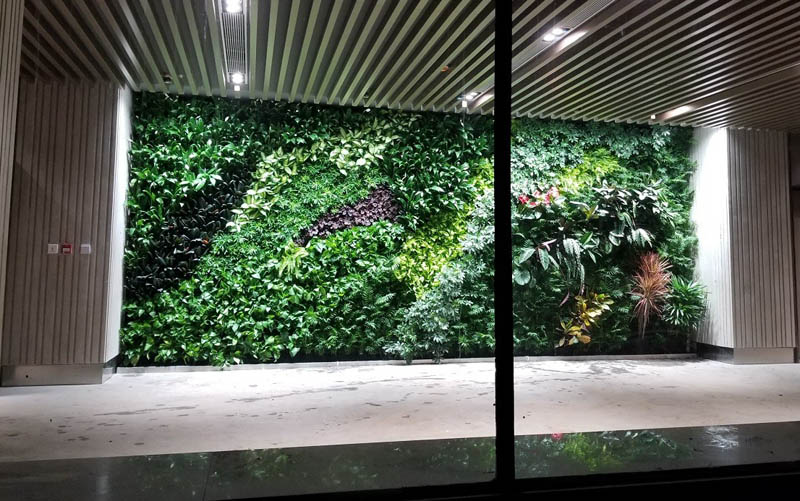 室內(nèi)生態(tài)植物墻帶你回歸自然 室內(nèi)生態(tài)植物墻帶你回歸自然